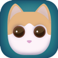 猫猫出来