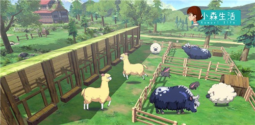 小森生活 兔子捕捉方法