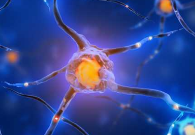 重生细胞 符文获取路线攻略