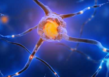 重生细胞 雾萦港湾入口在哪里