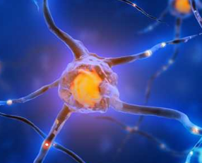 重生细胞 出生点上面的图纸怎么拿