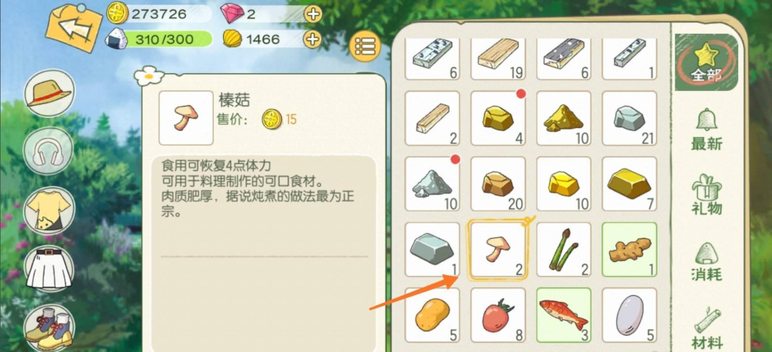 小森生活 新手稳定发展技巧