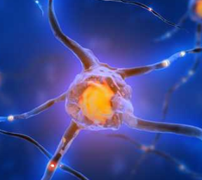 重生细胞 被囚者的牢房隐藏的区域怎么进