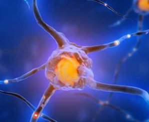 重生细胞 巨人山洞路线推荐