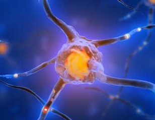 重生细胞 变异哪个好