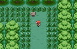 口袋妖怪xy攻略,掌握攻略,成为最强训练师! 口袋妖怪xy攻略,掌握攻略,成为最强训练师!