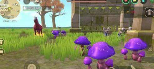 创造与魔法 2021年2月20日兑换码