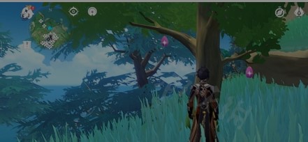 原神角色等级上限提升技巧及养成攻略