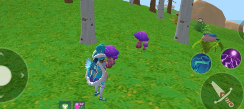 创造与魔法 最新礼包兑换码大全