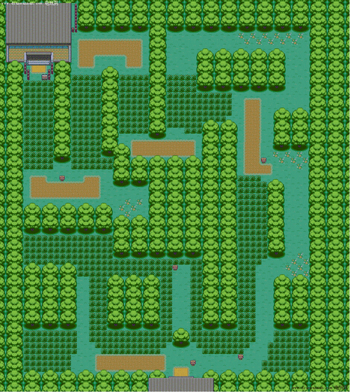 口袋乱斗堂：探索口袋妖怪世界的冒险与策略