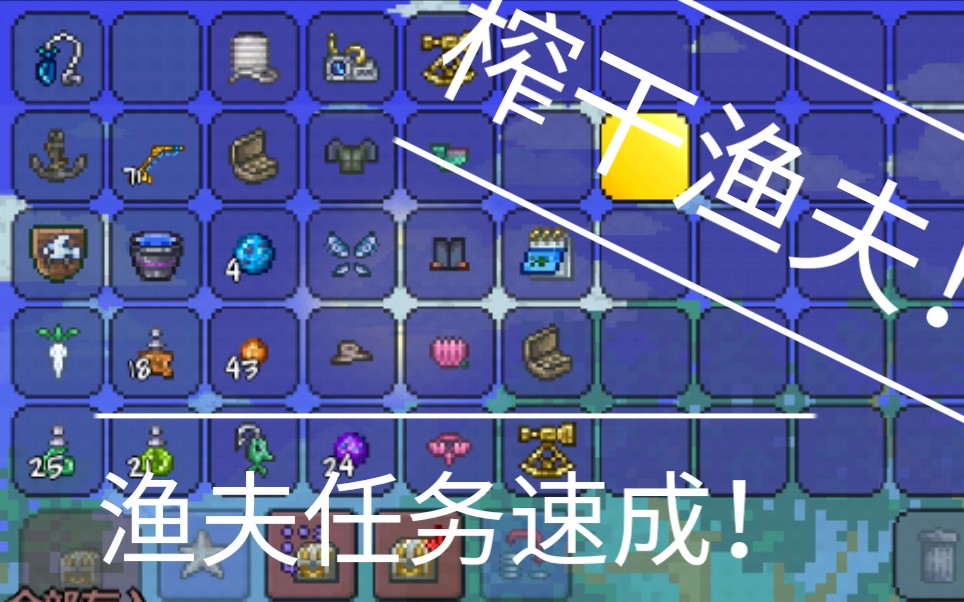 seedling游戏攻略,手机版的泰拉瑞亚宠物有哪些，怎么获得