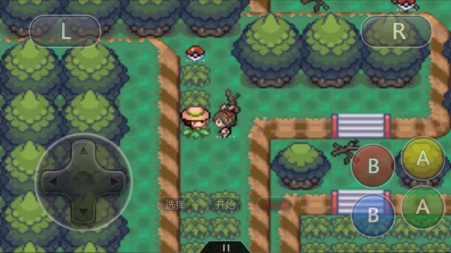 口袋妖怪盖亚图文攻略,口袋妖怪盖亚第六个道馆打完了去哪里攻略？