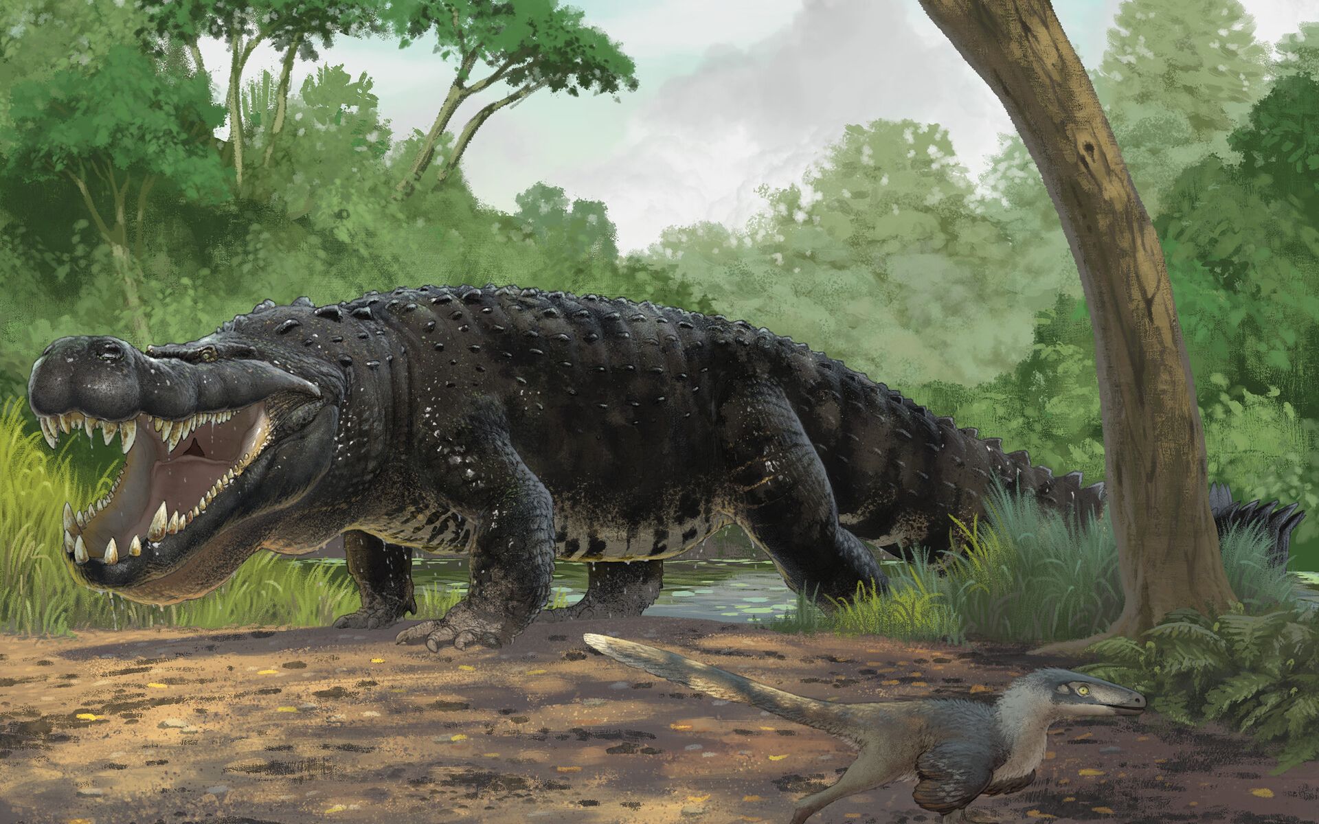 探险游戏恐龙岛霸王龙 探险游戏恐龙岛霸王龙