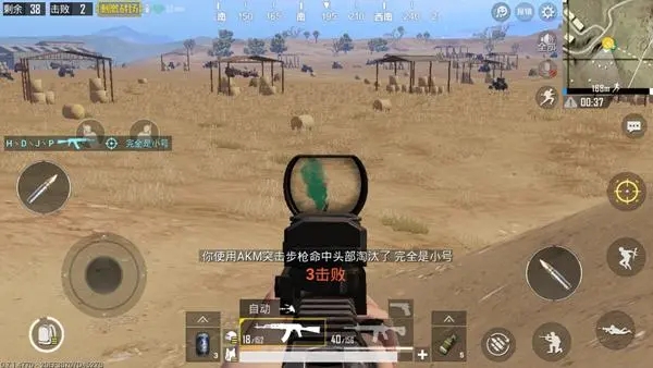 丛林生存攻略绝地求生，掌握自然法则，征服原始丛林！